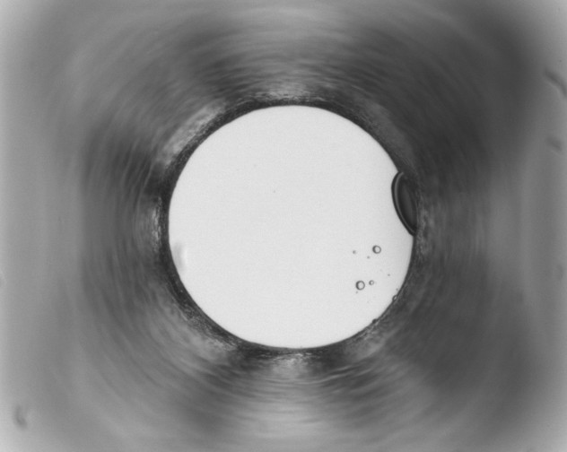 X0000103470116200810100944