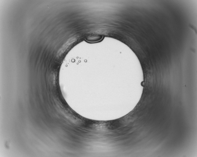 X0000103470120200810100944