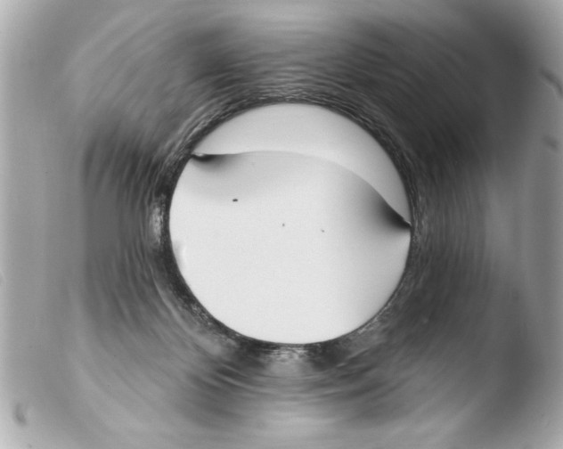 X0000103470124200810100944