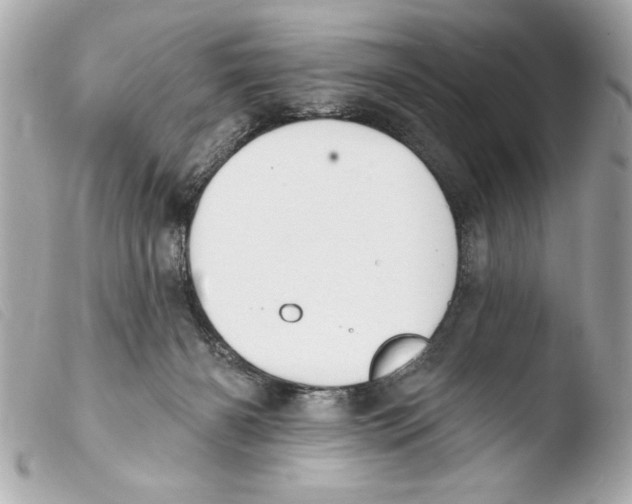 X0000103470126200810100944