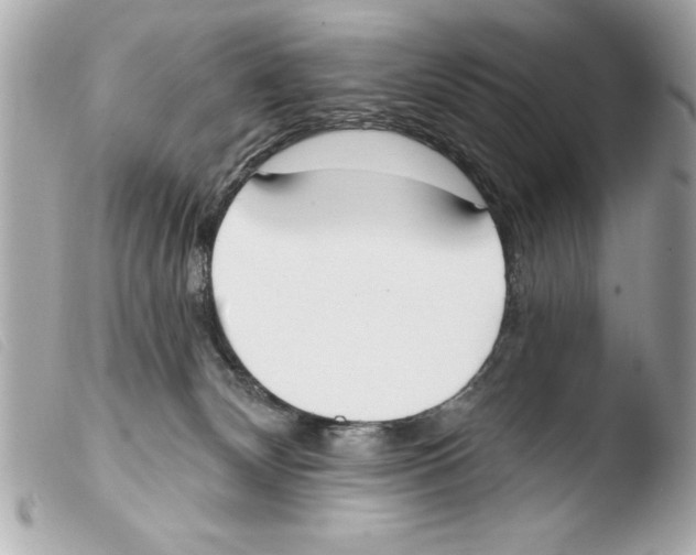 X0000103470132200810100944