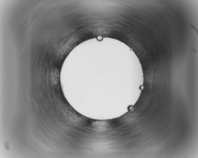 X0000103470133200810100944