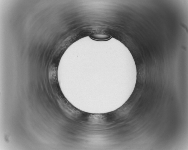 X0000103470137200810100944