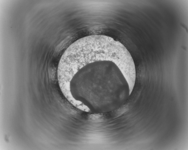 X0000103470139200810100944