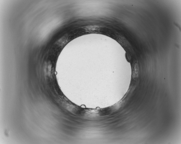 X0000103470140200810100944
