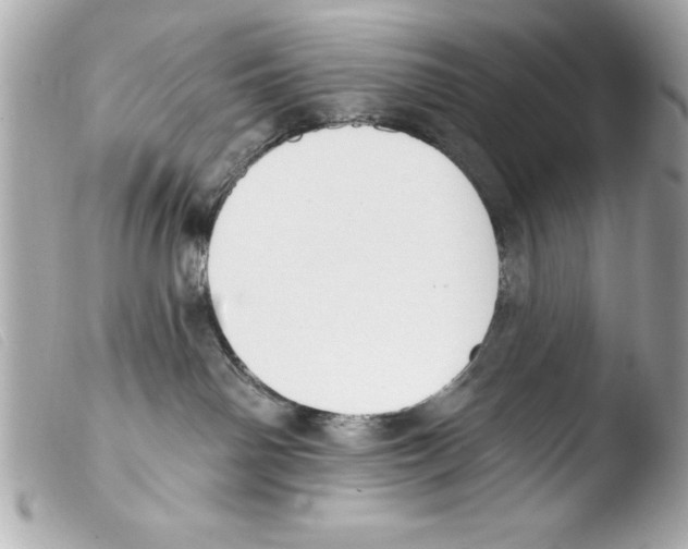 X0000103470142200810100944
