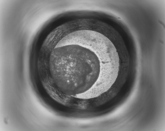 X0000103470143200810100944