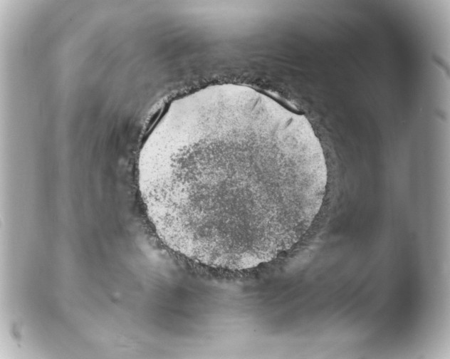 X0000103470144200810100944