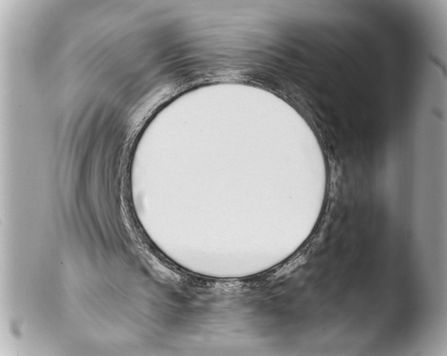X0000103470145200810100943
