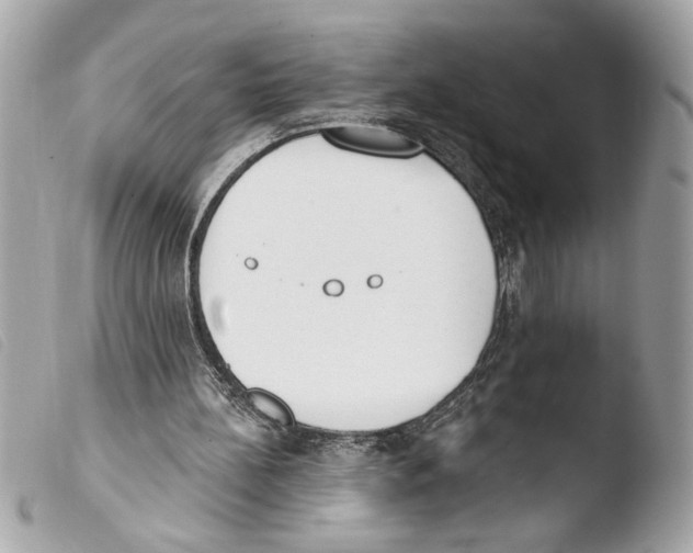 X0000103470148200810100943