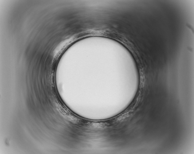 X0000103470149200810100943