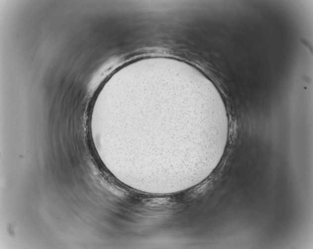 X0000103470151200810100943