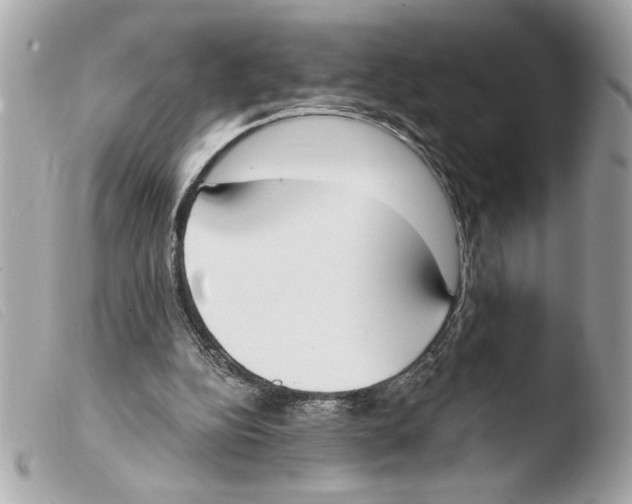 X0000103470152200810100943