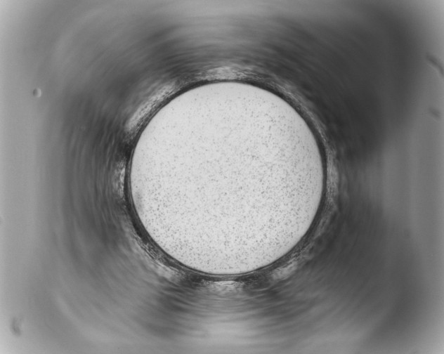 X0000103470153200810100943