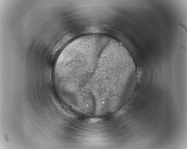 X0000103470158200810100943