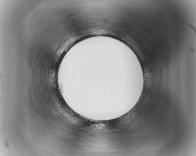 X0000103470159200810100943