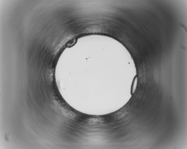 X0000103470160200810100943