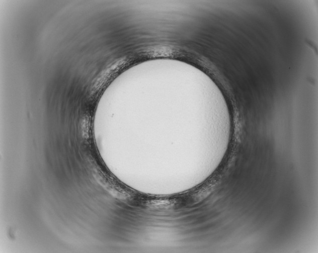 X0000103470161200810100943