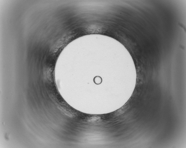 X0000103470162200810100943