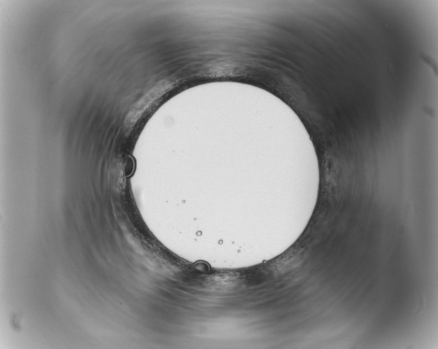X0000103470164200810100944