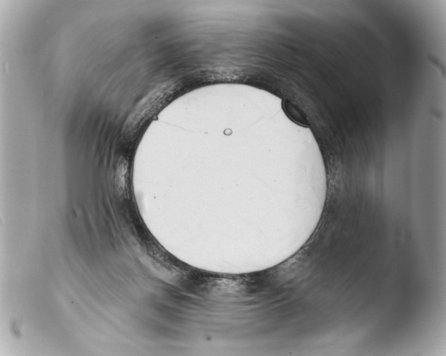 X0000103470166200810100944