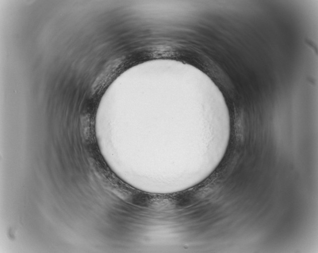 X0000103470169200810100944