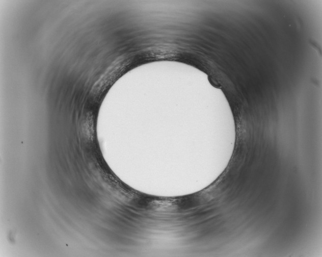 X0000103470170200810100944