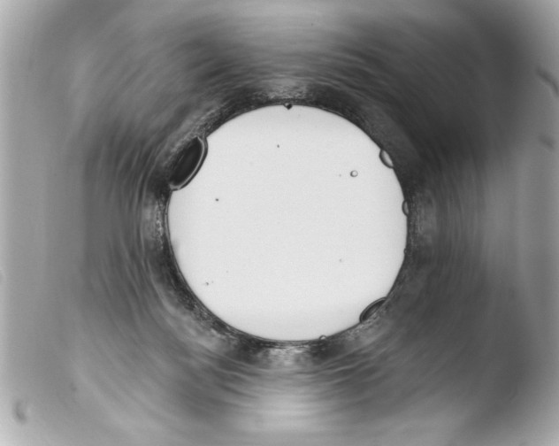 X0000103470172200810100944