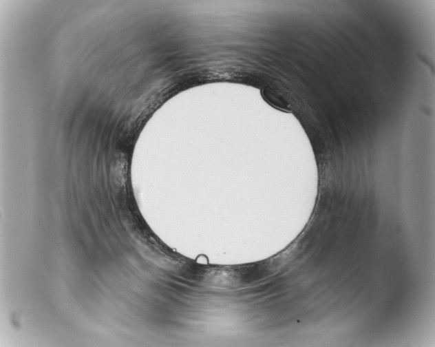 X0000103470174200810100944