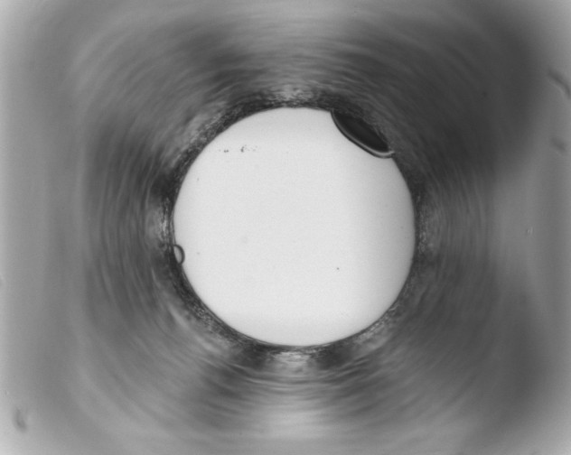 X0000103470176200810100944