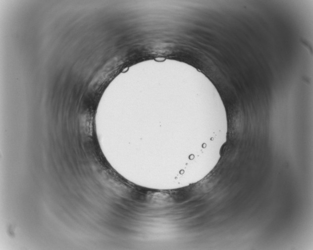 X0000103470180200810100944