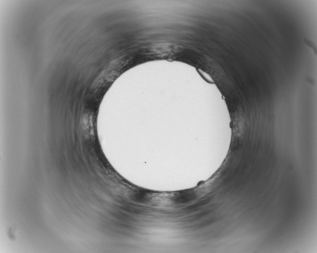 X0000103470182200810100944