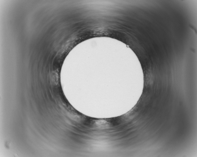 X0000103470183200810100944