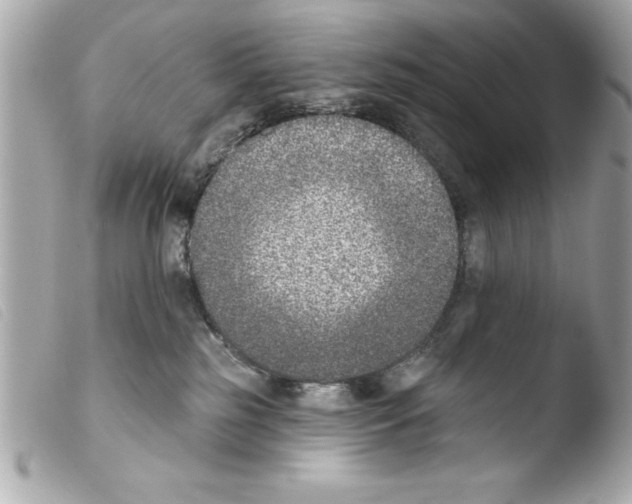 X0000103470185200810100944