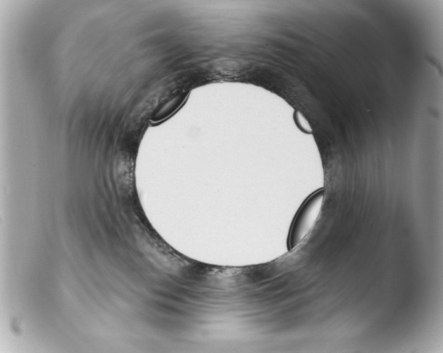 X0000103470186200810100944