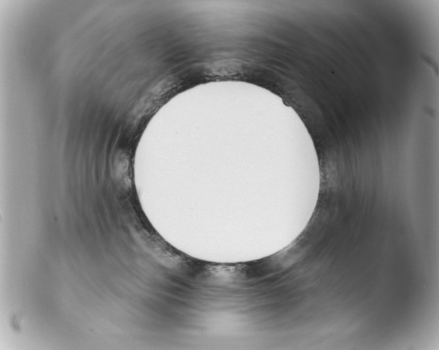 X0000103470187200810100944