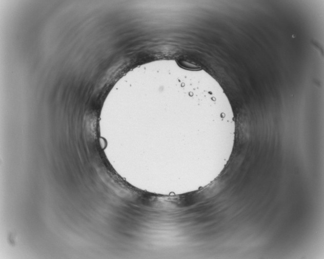 X0000103470188200810100944