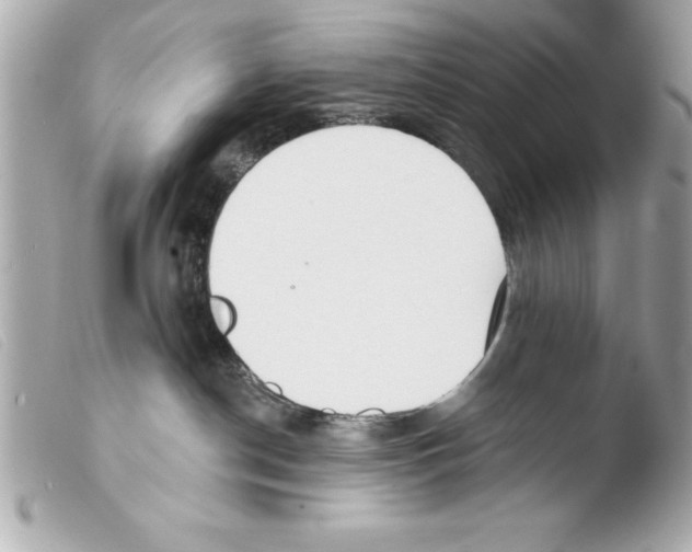 X0000103470190200810100944