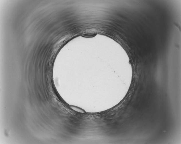 X0000103470193200810100943