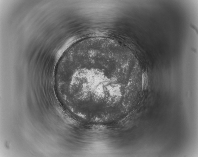 X0000103470195200810100943