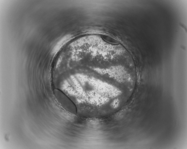 X0000103470199200810100943