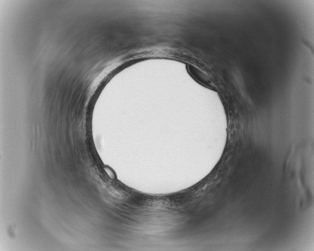 X0000103470200200810100943