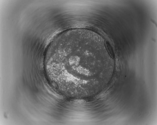 X0000103470203200810100943