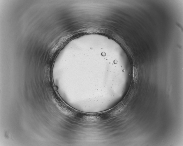 X0000103470205200810100943