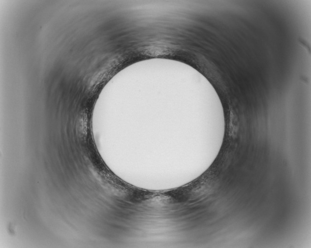 X0000103470210200810100943
