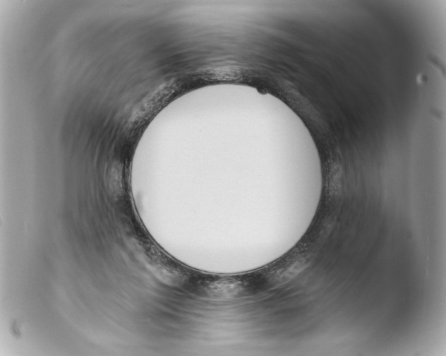 X0000103470213200810100943