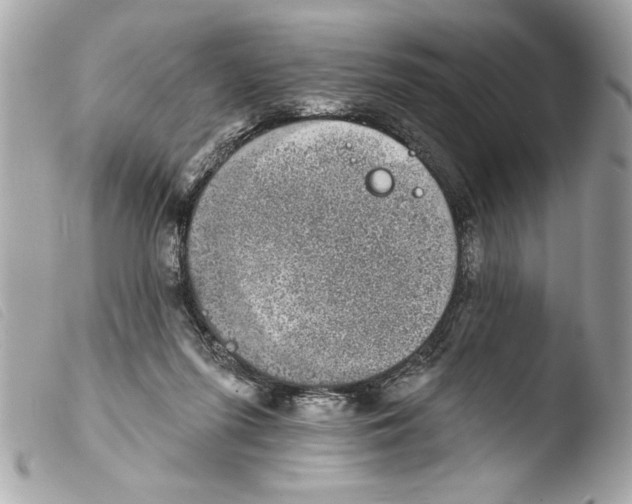 X0000103470215200810100943