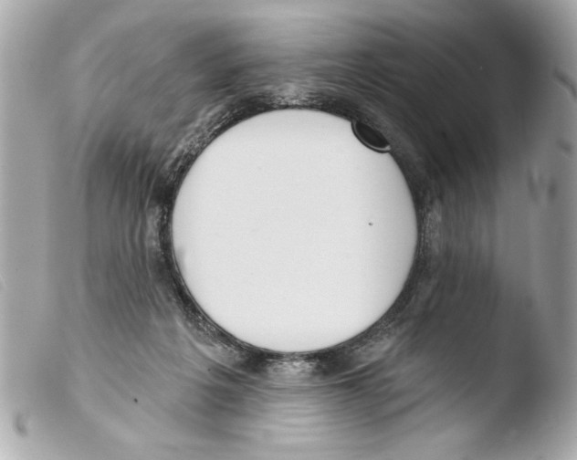 X0000103470217200810100943