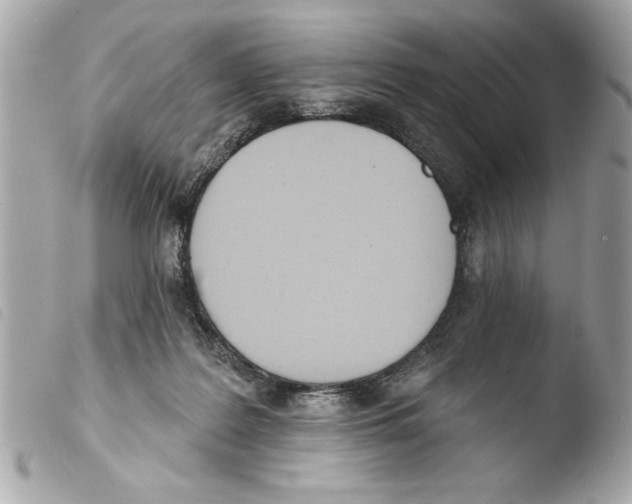 X0000103470219200810100943
