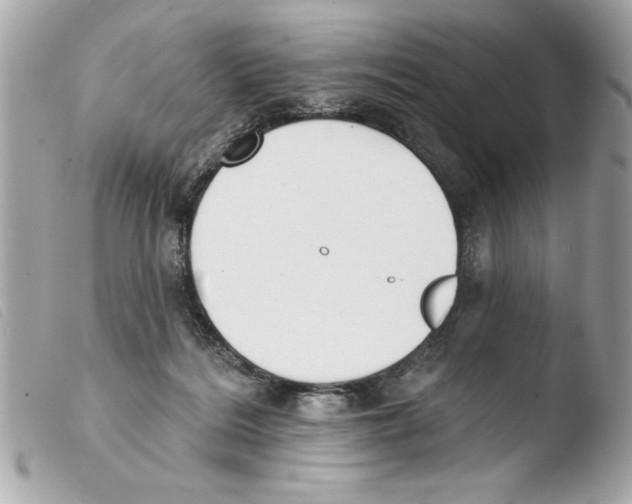 X0000103470220200810100943